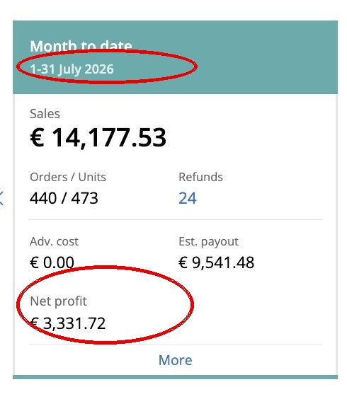 Capture Sellerboard avec date et profit net