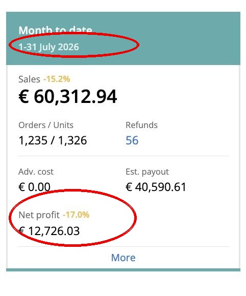 Capture Sellerboard avec date et profit net