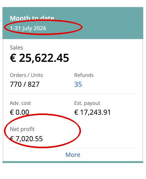 Capture Sellerboard avec date et profit net
