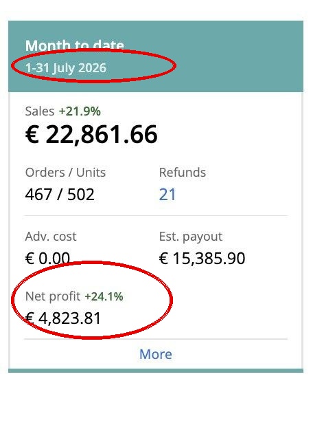 Capture Sellerboard avec date et profit net