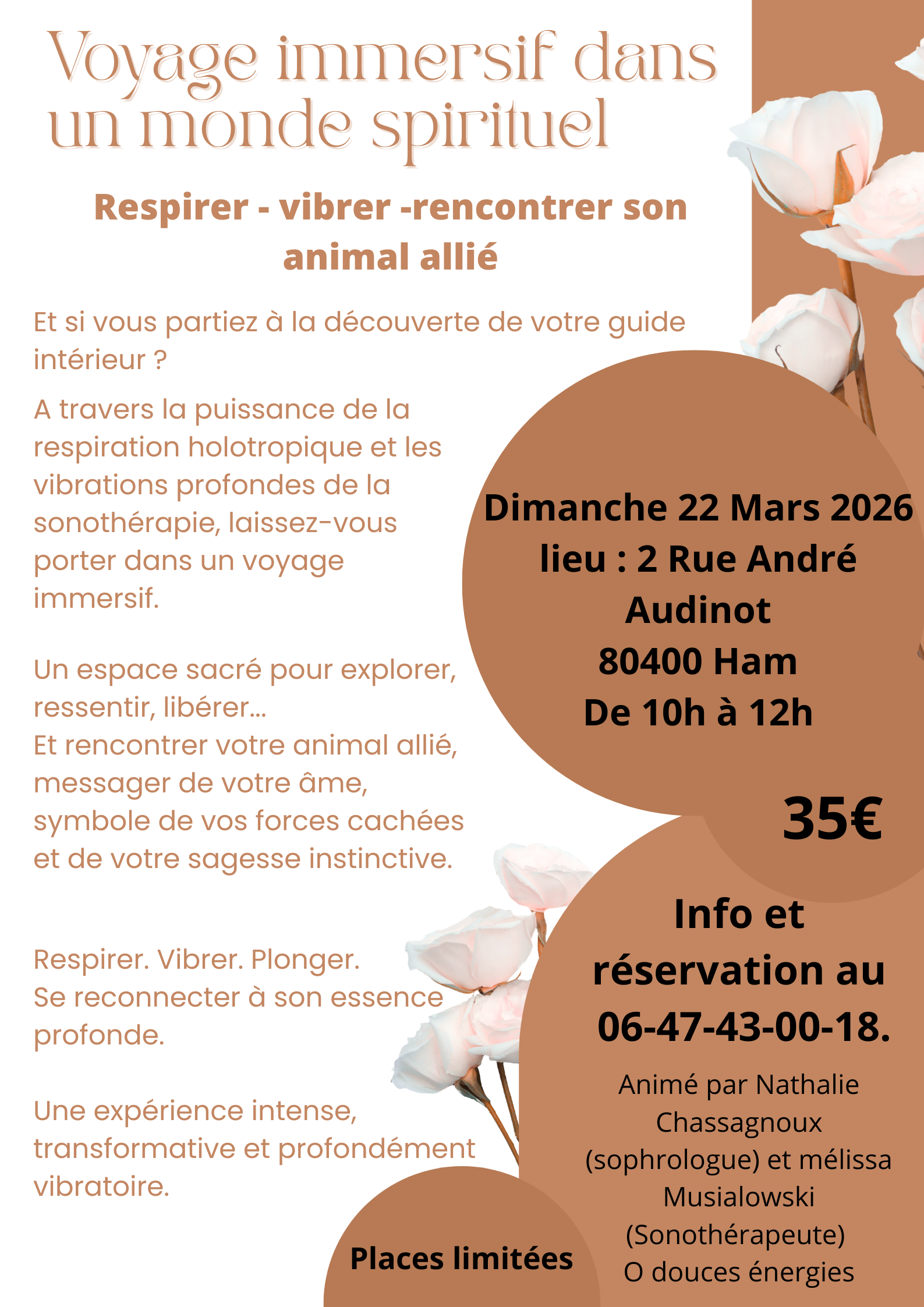 animaux%20ali%C3%A9%20monde%20du%20bas%20mars%202026