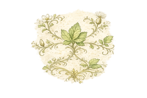 icone_botanique_carte