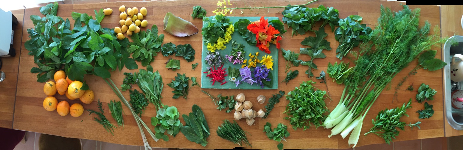 Manifester version new âge