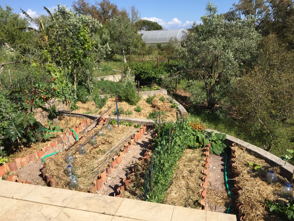 Photo Jardin abondance