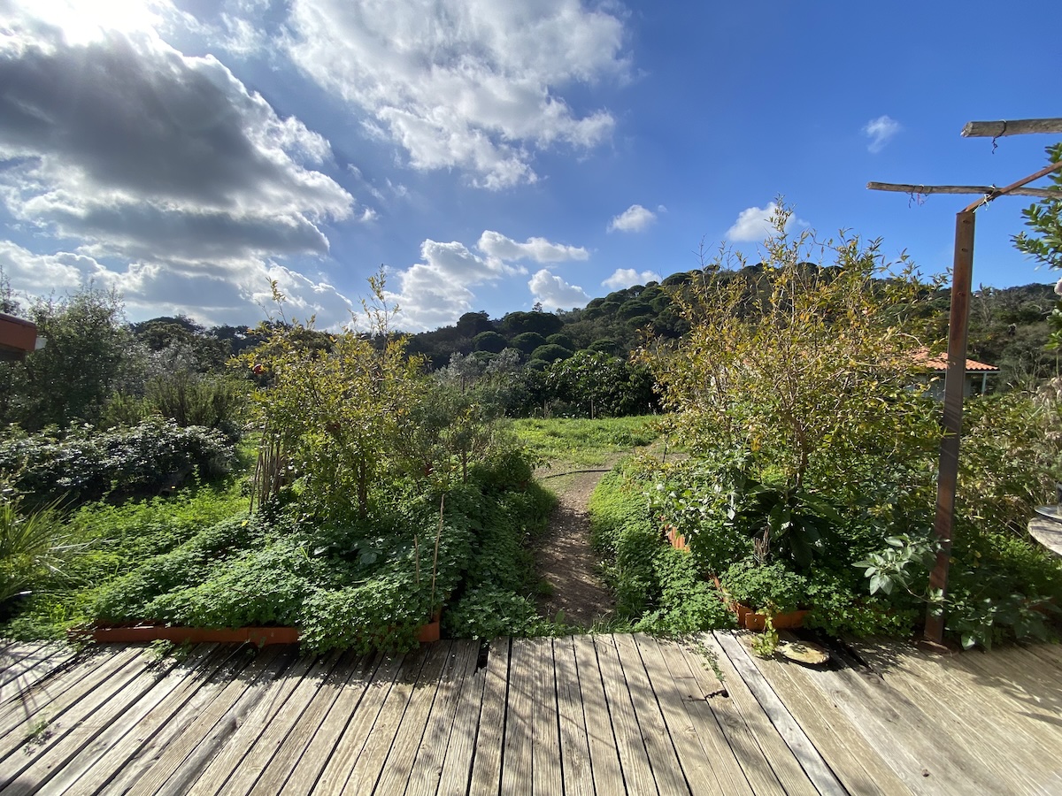 Vue terrasse sud Oasis