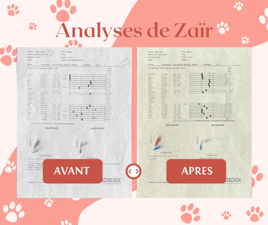 Analyses%20de%20Zair%20Avant%20apre%CC%80s