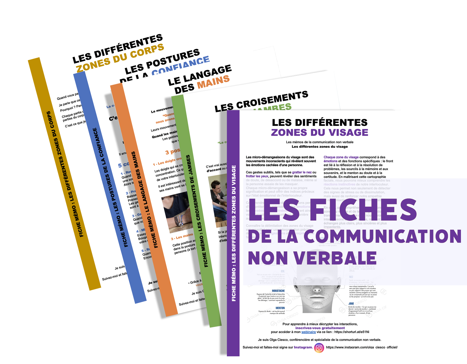 Olga-Ciesco-Newsletter 