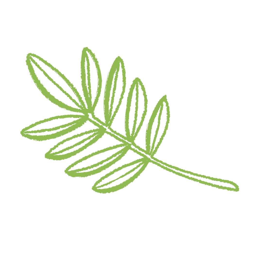 %40olivia_rsvs%20(1)
