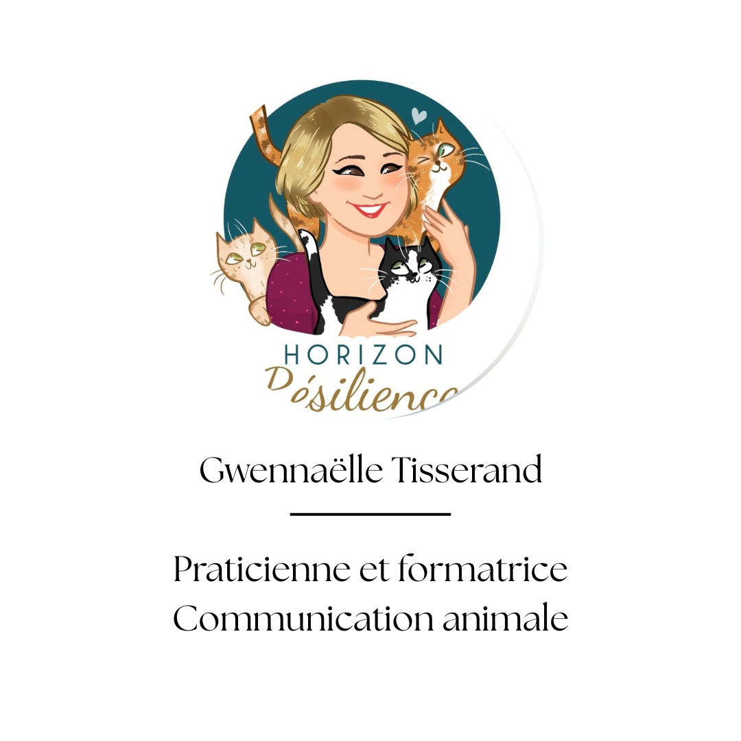 Gwena%C3%ABlle%20Tisserand%20-%20praticienne%20communication%20animal%20et%20formatrice