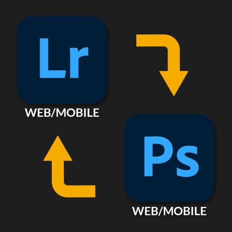 Bonus-2__480x480 Bonus-2__480x480