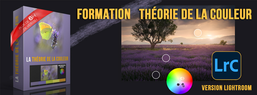 Template-thumnail-COULEUR-cover-FB