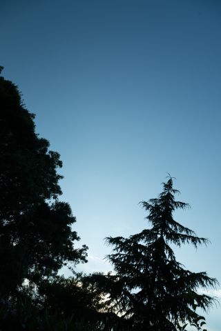 _DSC9793__320x480 _DSC9793__320x480