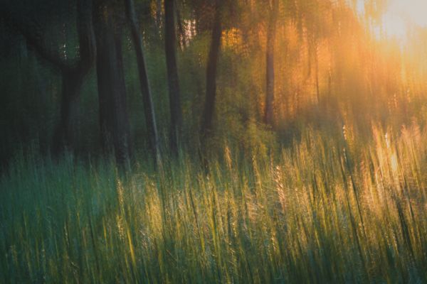 _ORZ0583-impressionnisme-sans-cadre__600x400 _ORZ0583-impressionnisme-sans-cadre__600x400