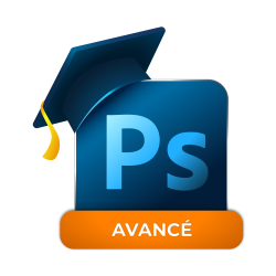 blasons-formation-v4_logo-ps-perfectionnement__250x250