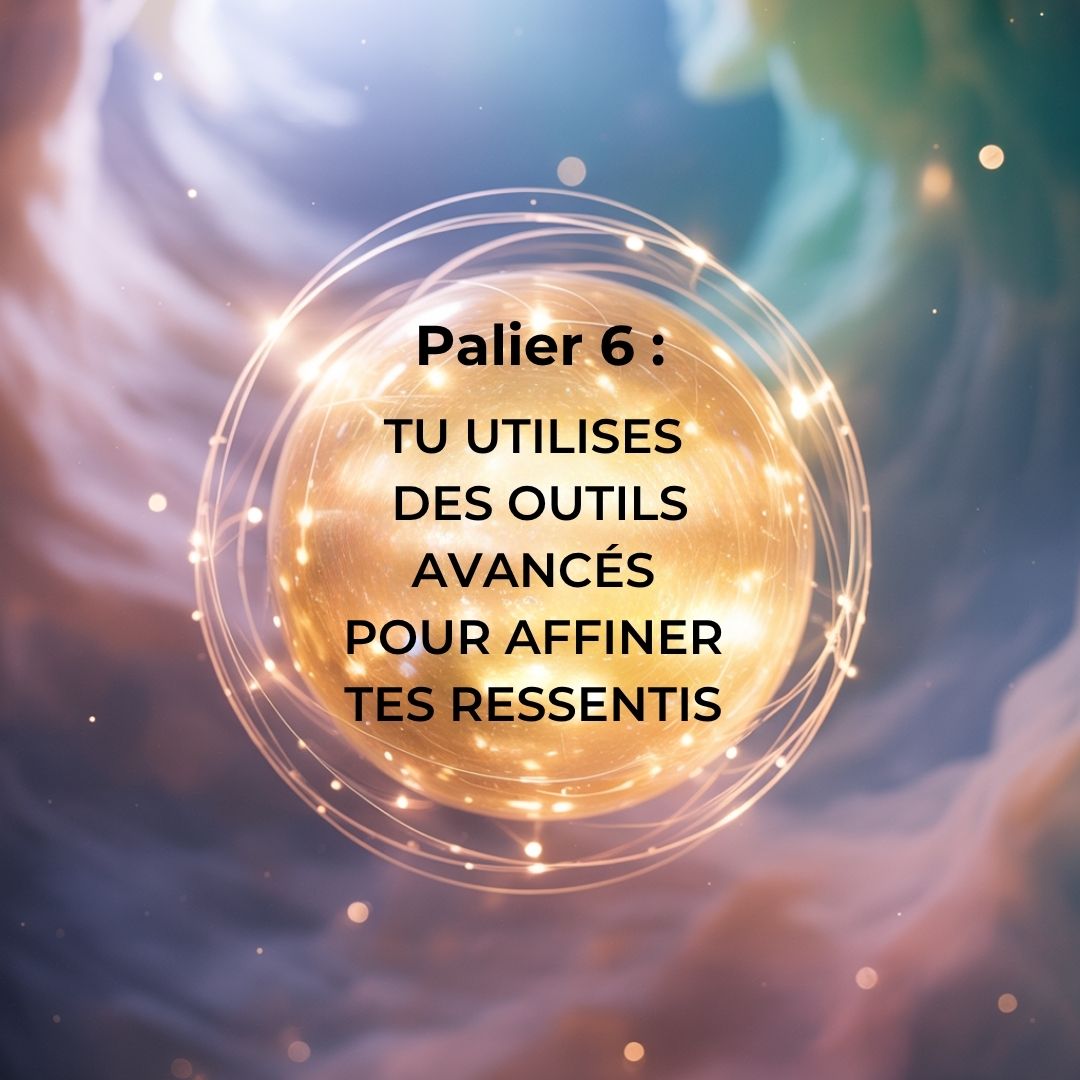 Palier-6