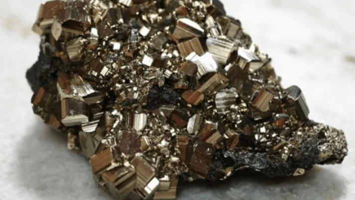 Préparateur Mental de Sandrine Martinet - Médaille d'or de Judo aux Jeux Paralympiques 2016 et mondiaux 2019