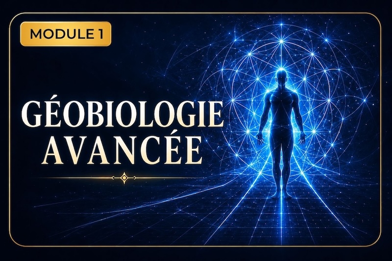 module1