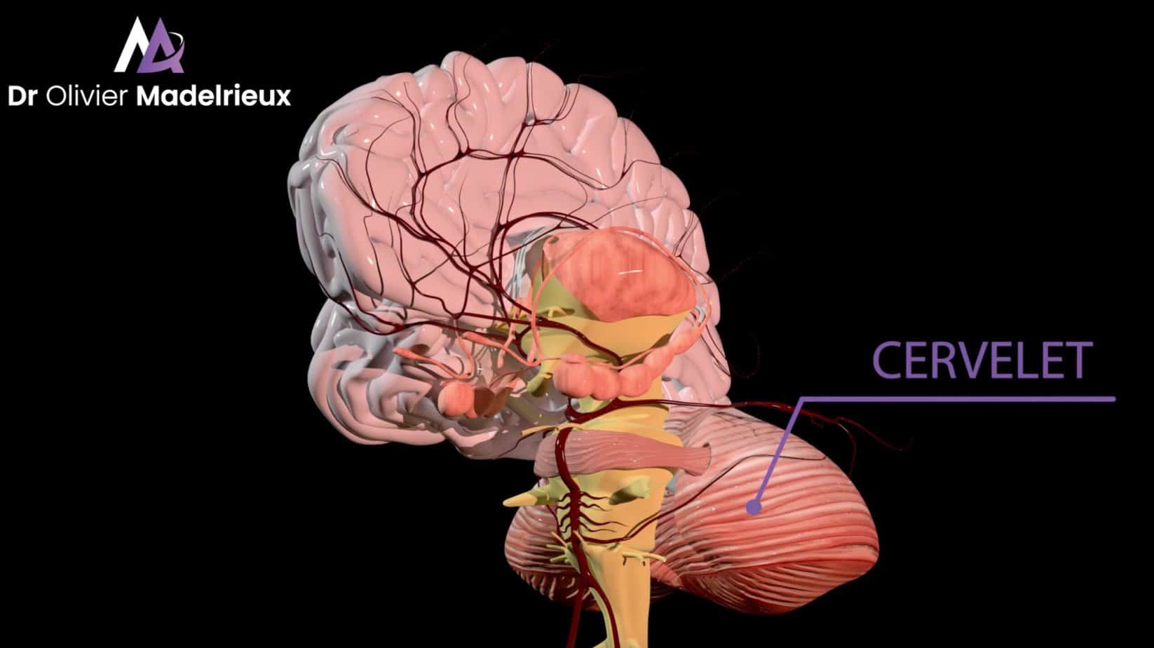 Préparateur Mental de Sandrine Martinet - Médaille d'or de Judo aux Jeux Paralympiques 2016 et mondiaux 2019