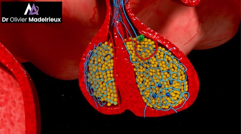 Préparateur Mental de Sandrine Martinet - Médaille d'or de Judo aux Jeux Paralympiques 2016 et mondiaux 2019
