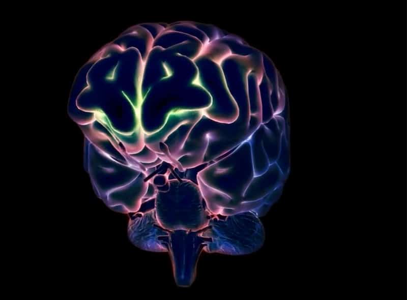 Préparateur Mental de Sandrine Martinet - Médaille d'or de Judo aux Jeux Paralympiques 2016 et mondiaux 2019