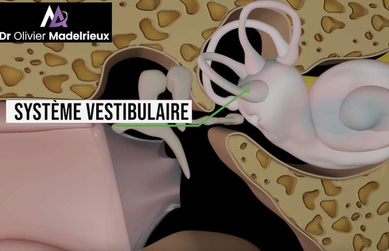 Préparateur Mental de Sandrine Martinet - Médaille d'or de Judo aux Jeux Paralympiques 2016 et mondiaux 2019