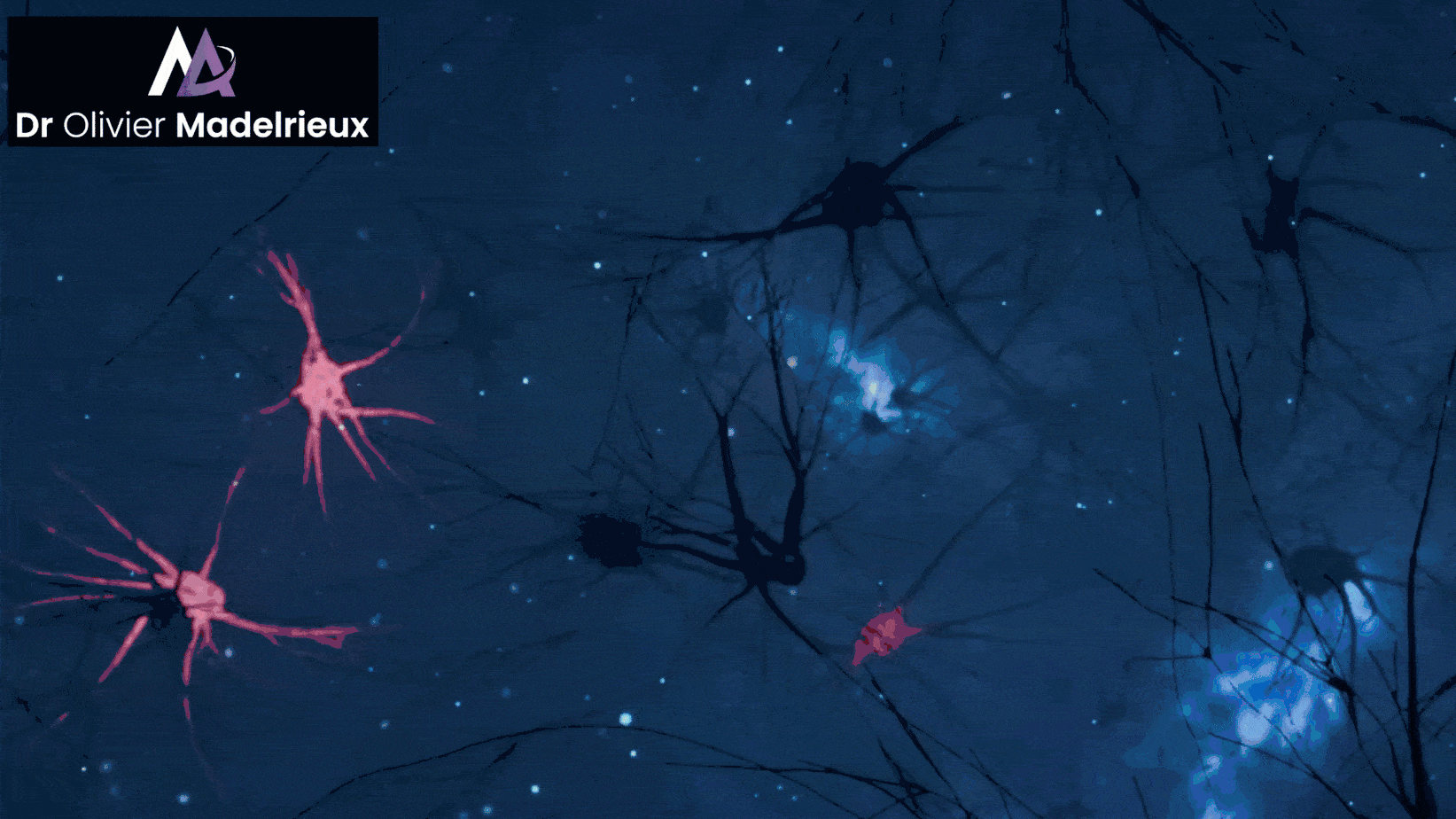 Préparateur Mental de Sandrine Martinet - Médaille d'or de Judo aux Jeux Paralympiques 2016 et mondiaux 2019