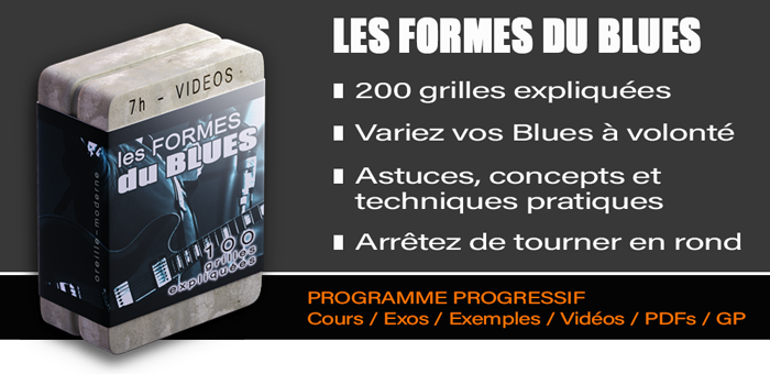 LES FORMES DU BLUES