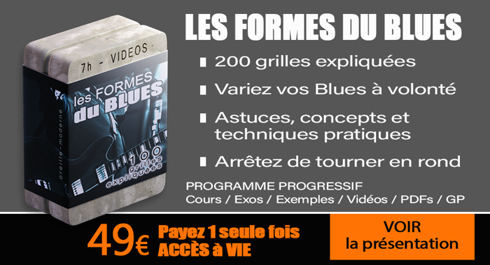 LES FORMES DU BLUES