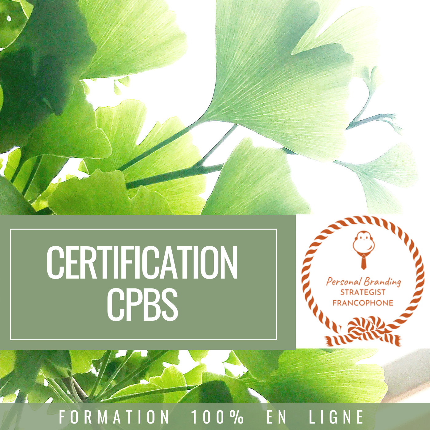 360BRAND-certification-2