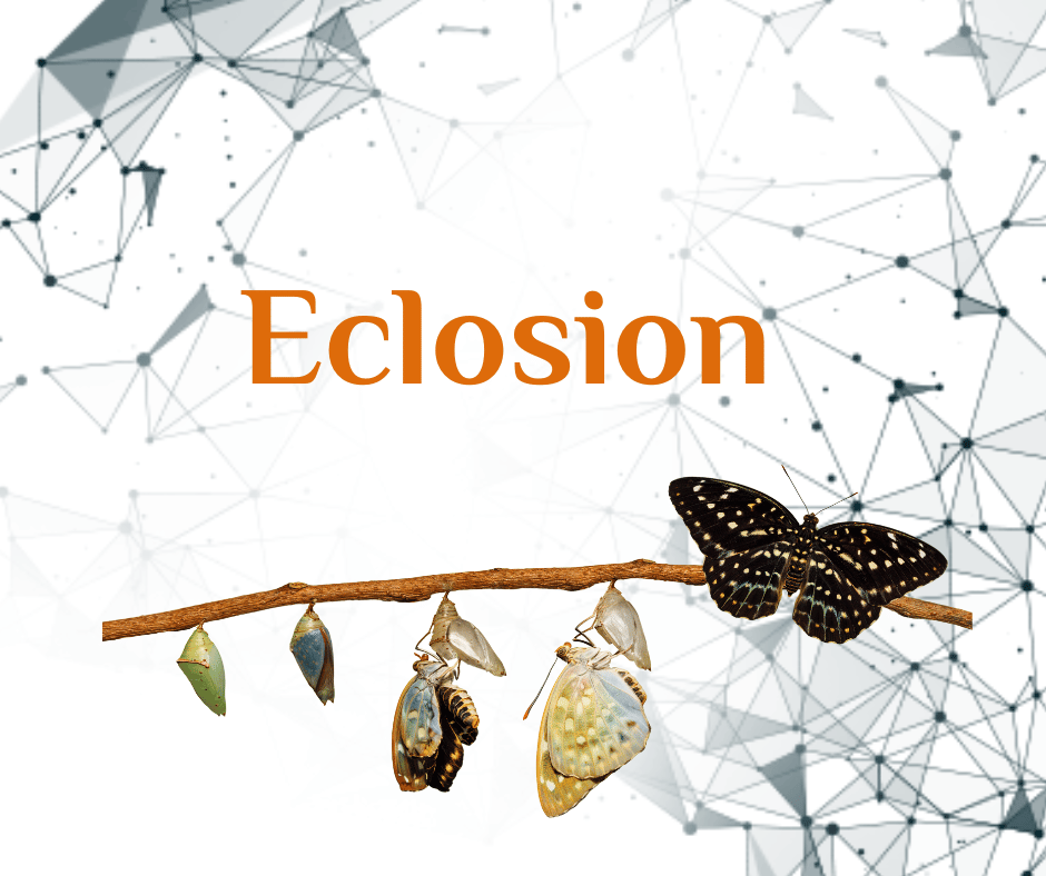 Eclosion