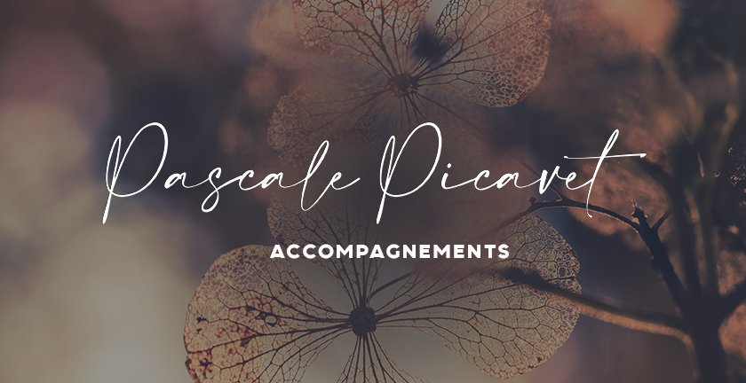 banniere%20learnybox