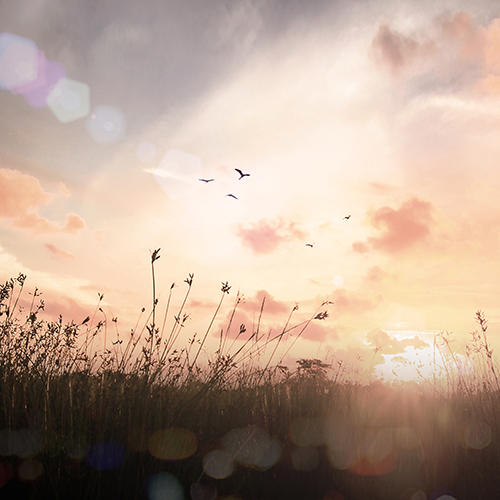 fin%20sept%20jours(1)