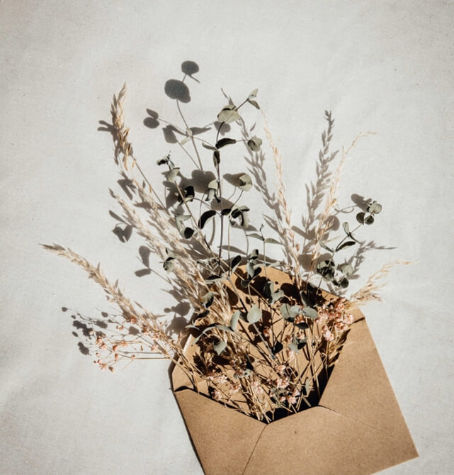 learnybox-theme-02-image-17