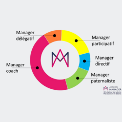 Styles%20manag%C3%A9riaux%20Assess%20Manager