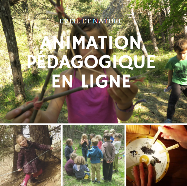 Annotation%202020-09-01%20135600 Annotation%202020-09-01%20135600