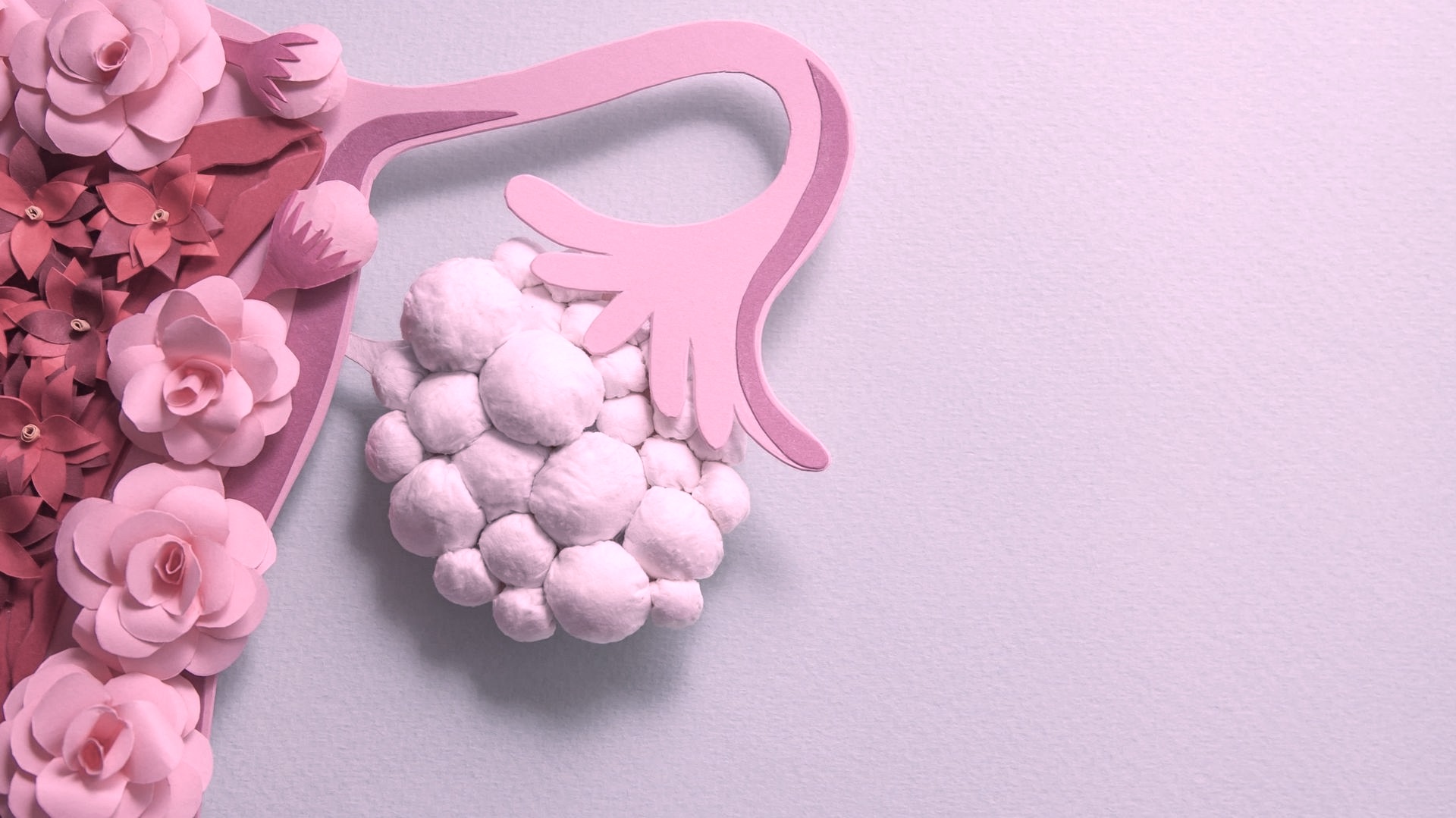 c3ee2b0fcce0454e65fec52f03b4af94-1636997542 c3ee2b0fcce0454e65fec52f03b4af94-1636997542