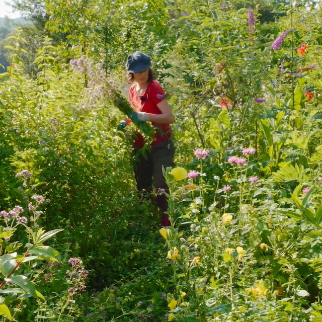 Anae%CC%88lle%20The%CC%81ry-%20Joala%20carre%CC%81