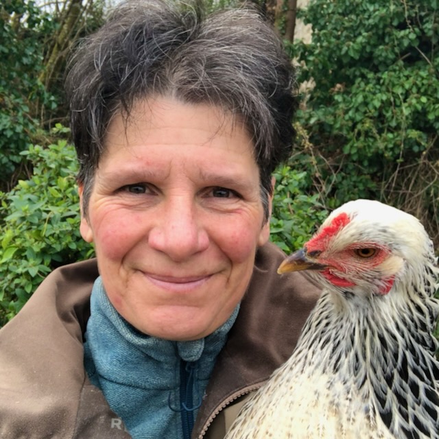 Gae%CC%88lle%20Luky%20VAJ