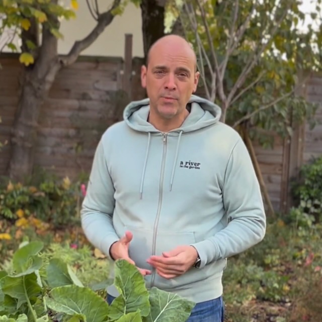 Guillaume%20DG%20carre%CC%81