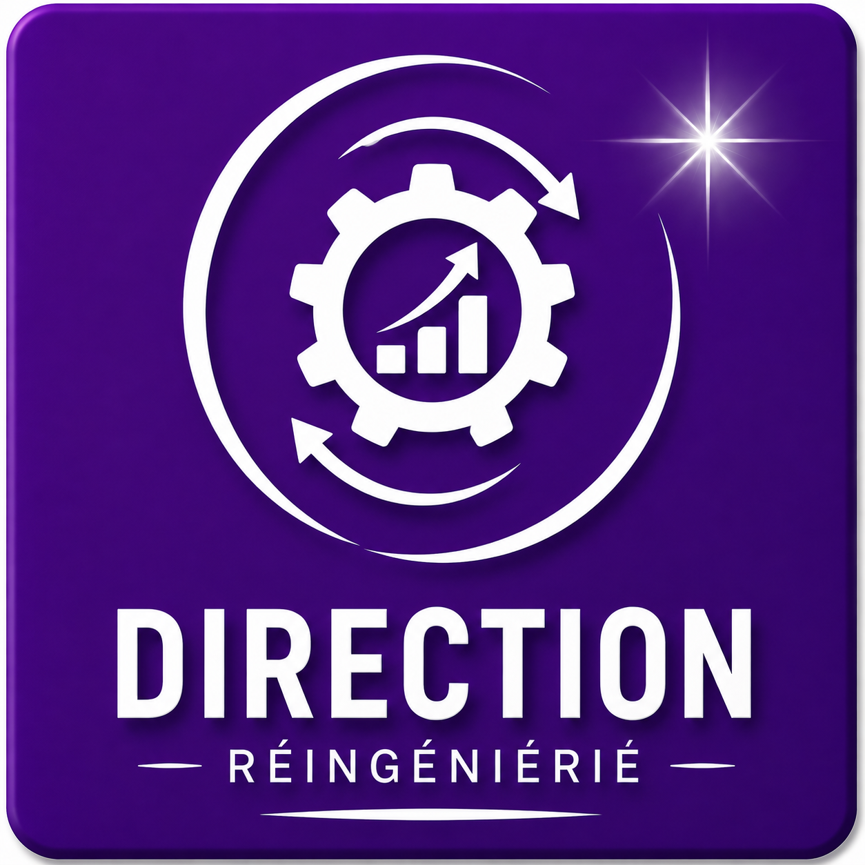 DIR%20Reingenieurie