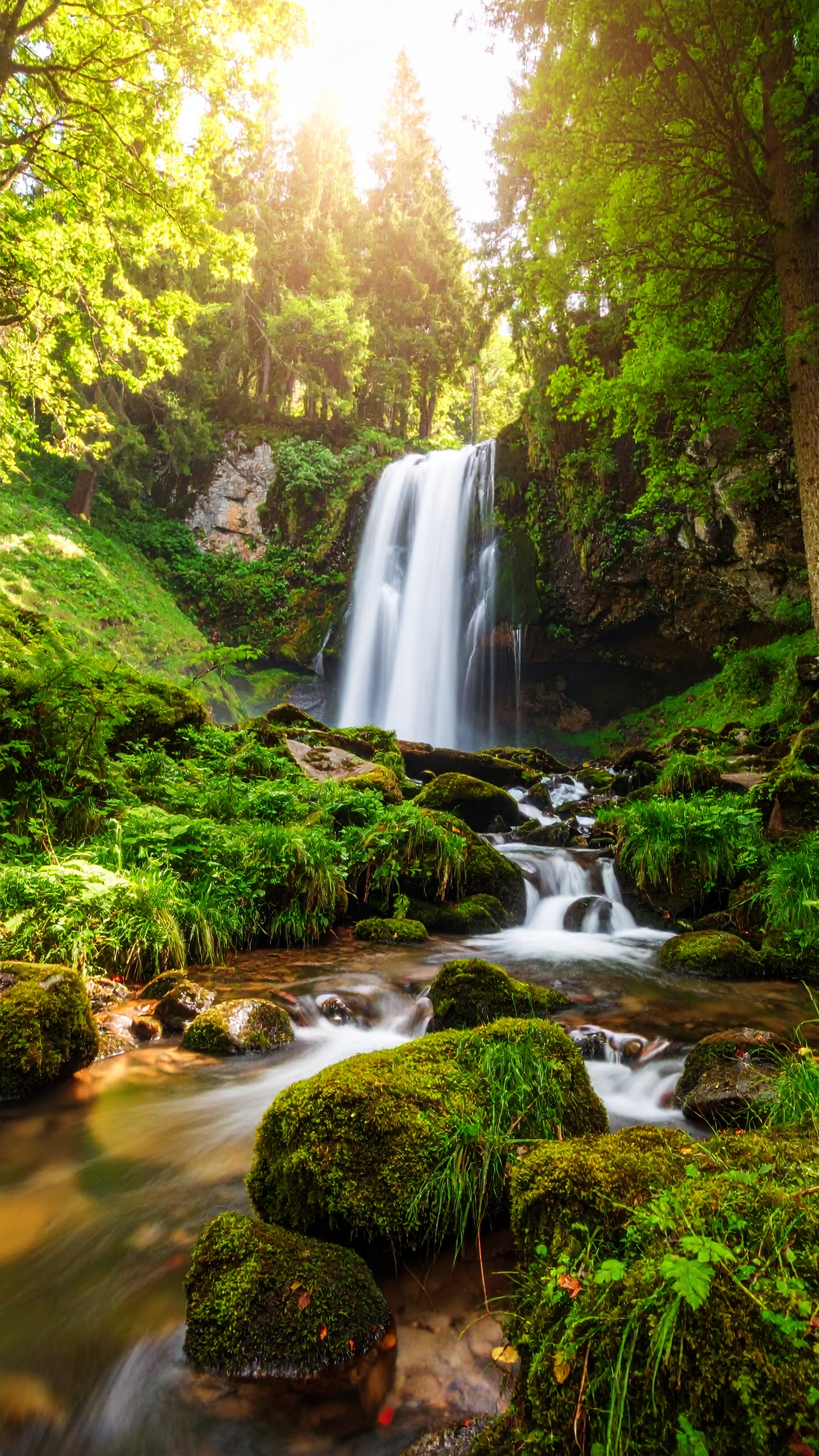 Firefly_Dans%20un%20d%C3%A9cor%20r%C3%A9aliste%2C%20un%20paysage%20doux%2C%20verdoyant%2C%20qui%20inspire%20le%20calme%2C%20se%20r%C3%A9g%C3%A9n%C3%A9re%20309756