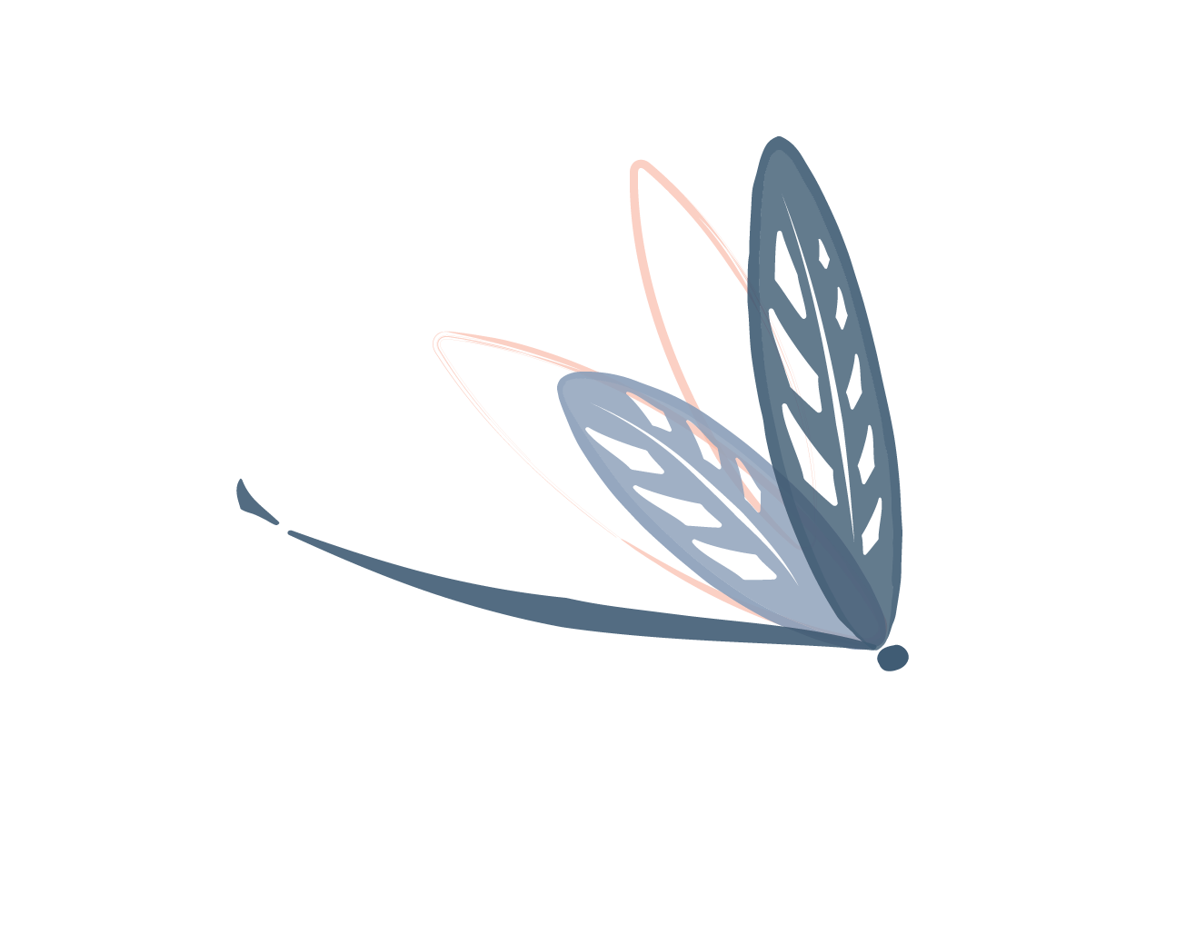 RARICREATION_COLOR%20LIBELLULE