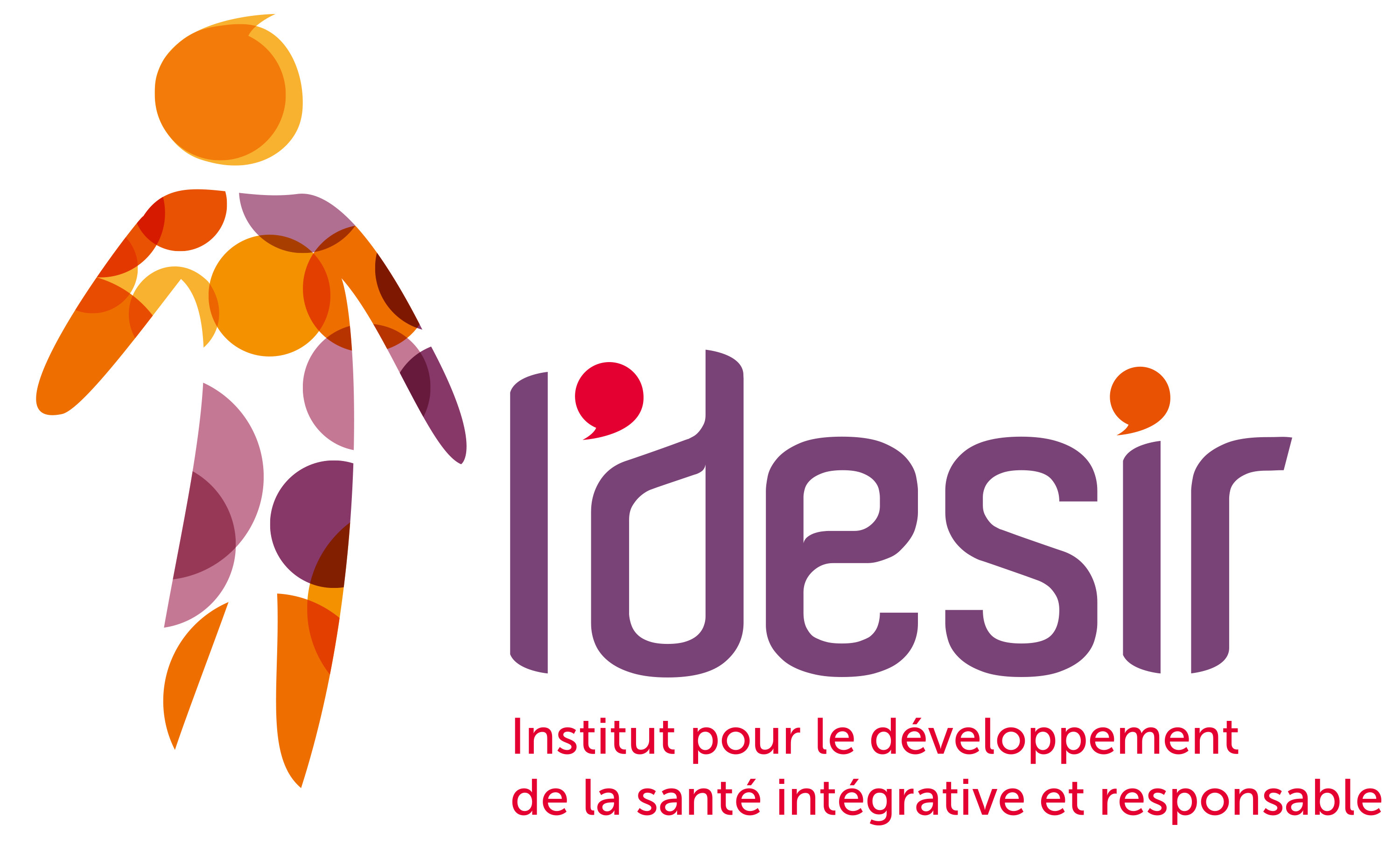 logo_IDESIR_DER_coul