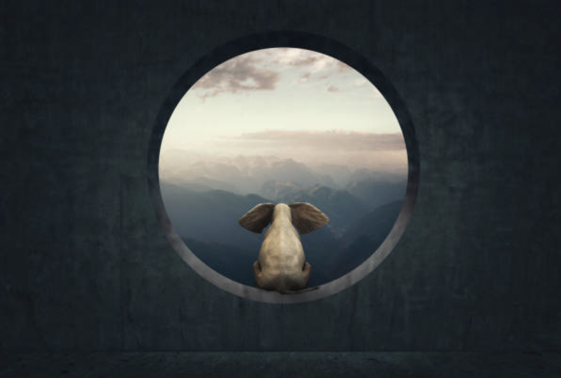 À QUI S'ADRESSE CE PARCOURS