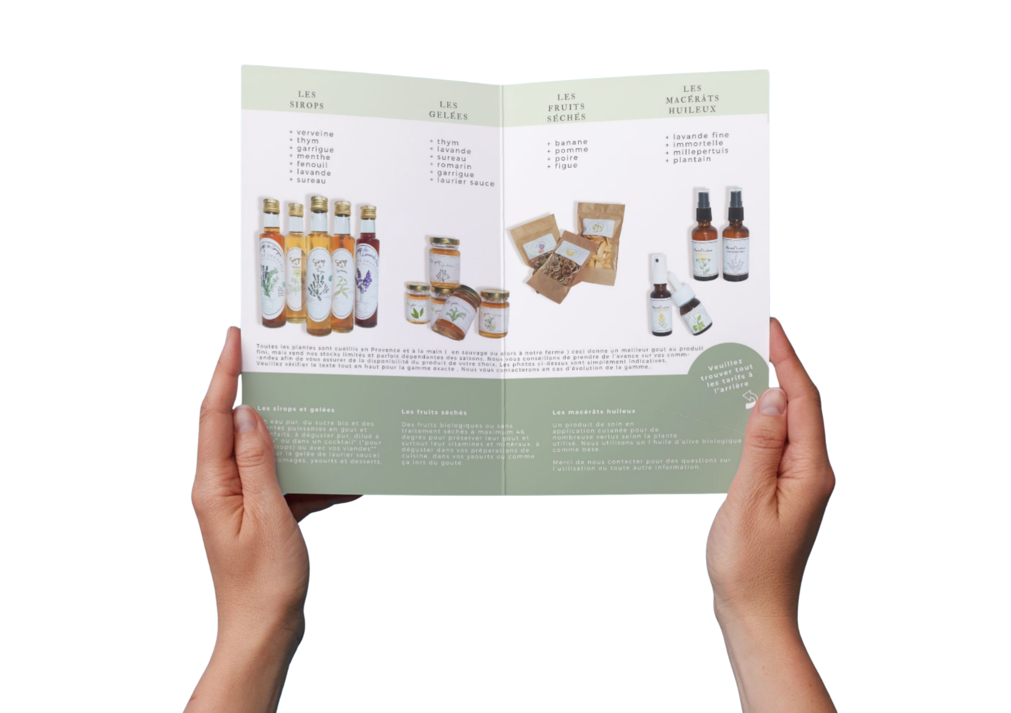 brochure%20thibaut%20-%20maquette