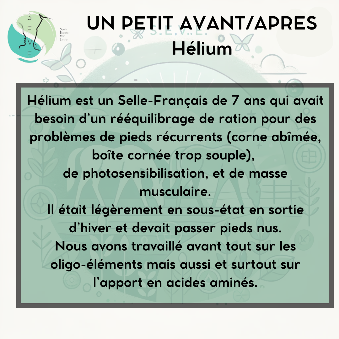 Témoignages AVANT/APRES