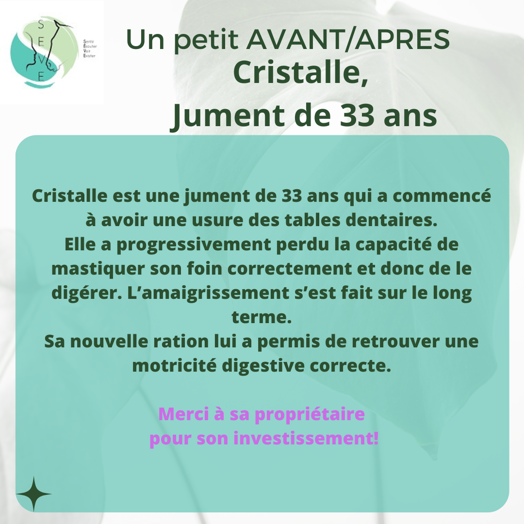 Témoignages AVANT/APRES