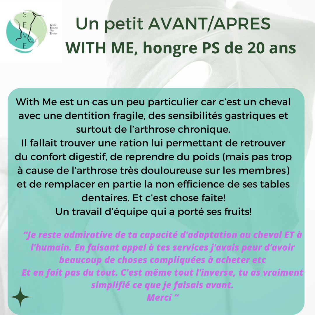 Témoignages AVANT/APRES