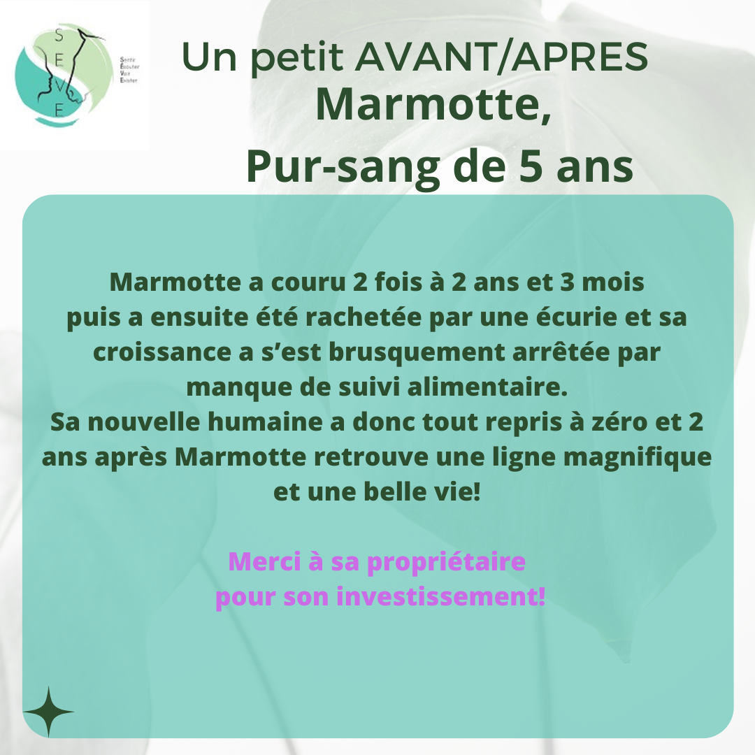 Témoignages AVANT/APRES