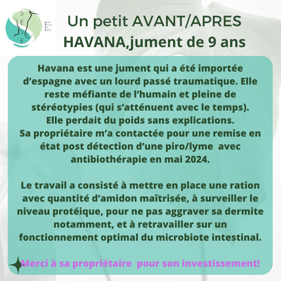 Témoignages AVANT/APRES